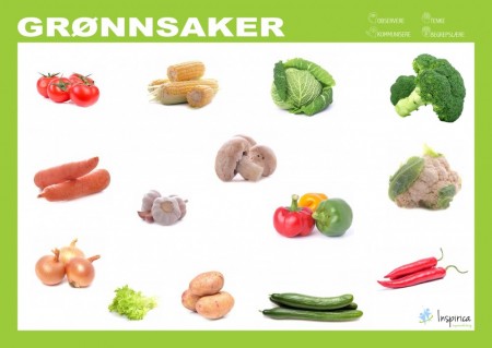 Begrepstavler 20 stk - Startpakke (Utsolgt)